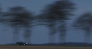 Common and not so common sustainability themes