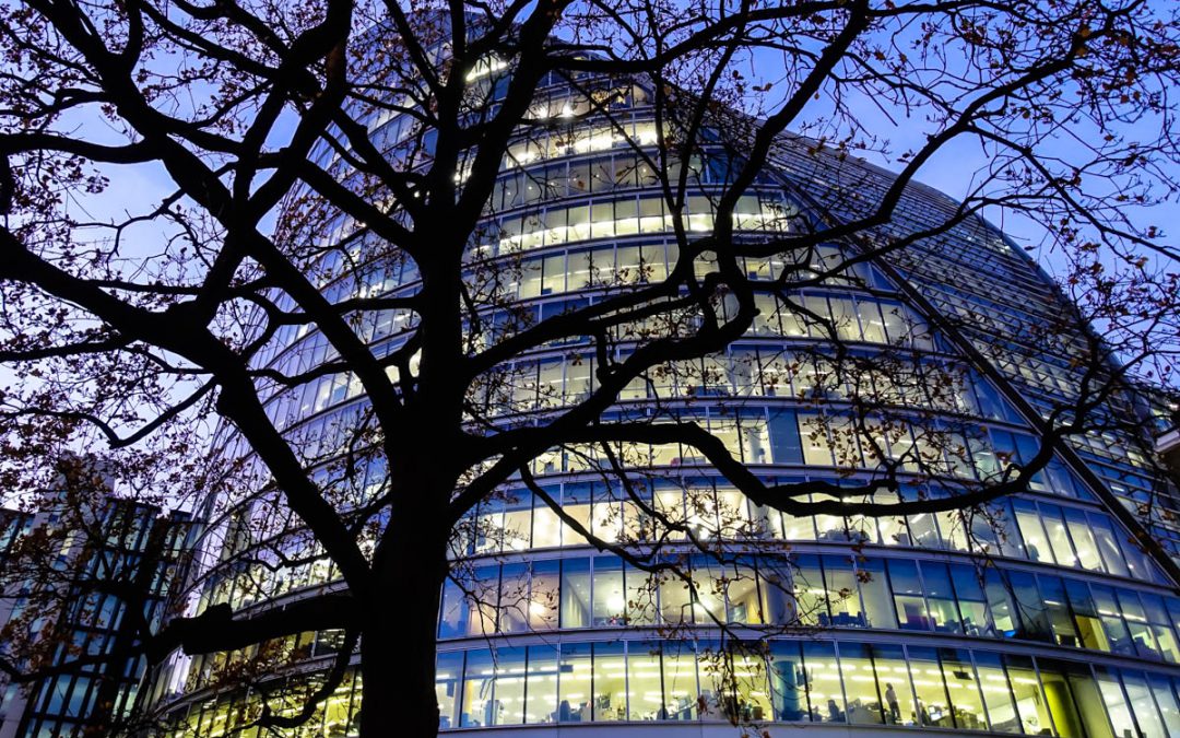 The changing flows of corporate performance information